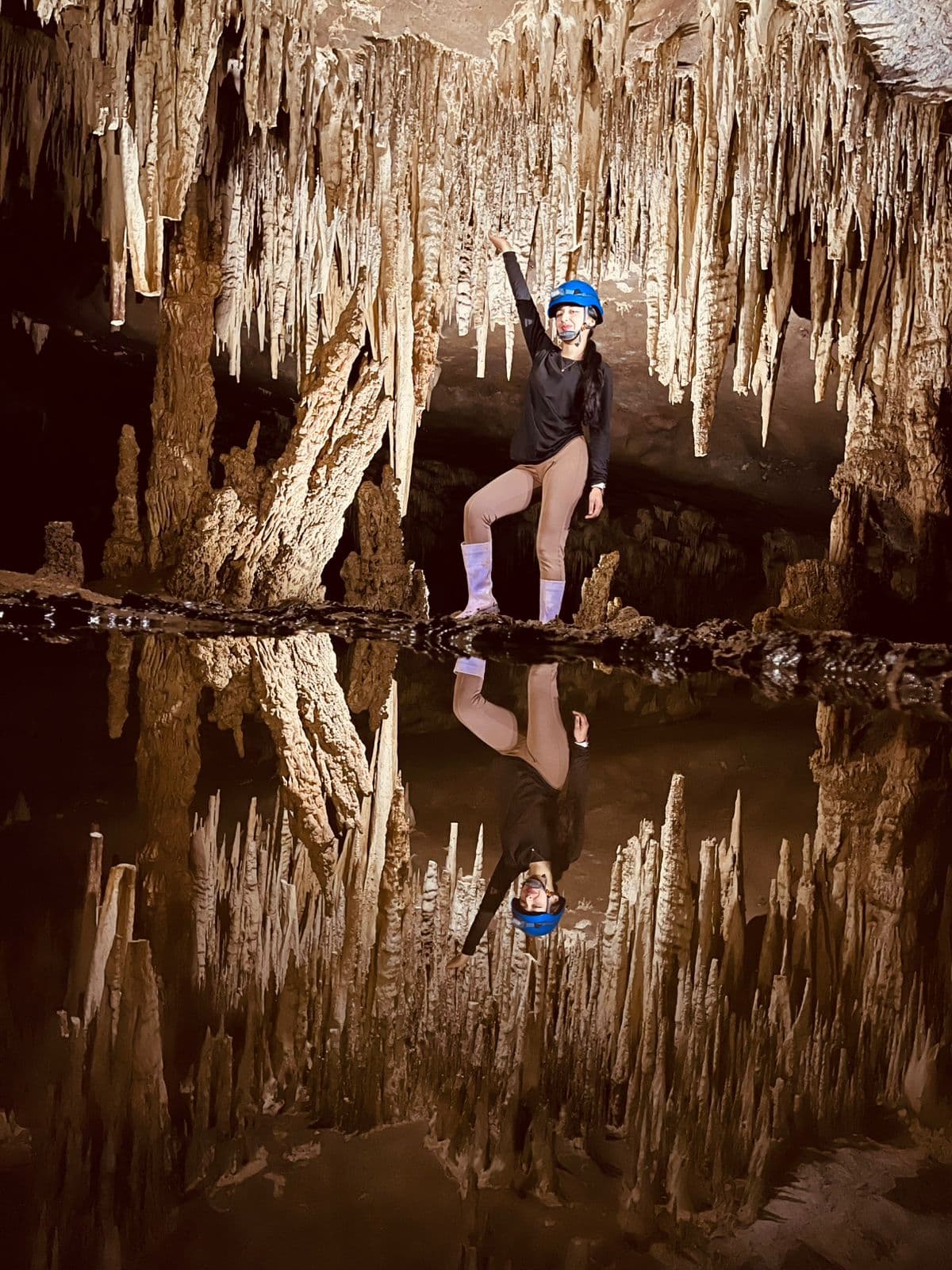 Bosque Pandora Experiencia